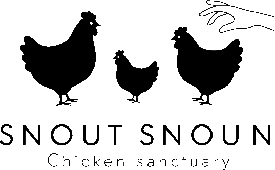 Snout Chicken Sanctuary